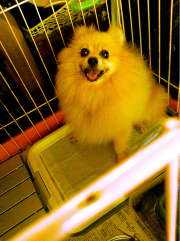 image-20110826104746.png