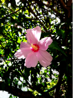image-20111013094427.png